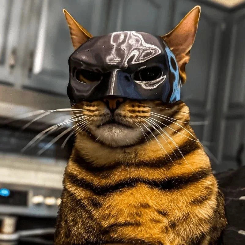 Cat Avenger Mask Bat Halloween 3D Printed Cosplay Hat Cat  Funny Toys Photos Props Pet Accessories